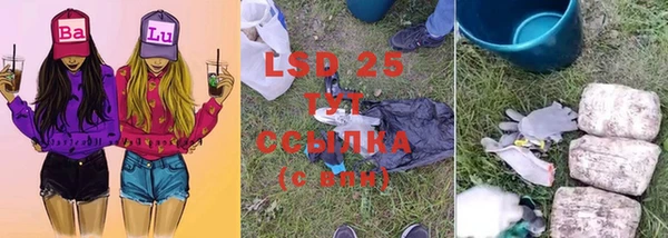 гидра Липки