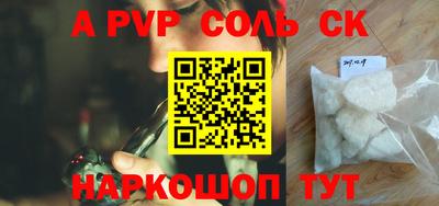 ешки Кингисепп