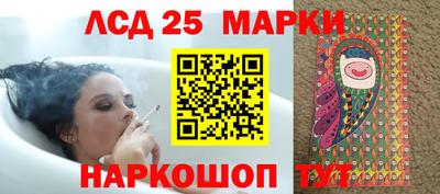ешки Кингисепп