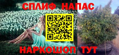 эйфоретик Кинель