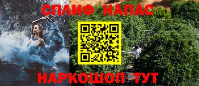 ешки Кингисепп