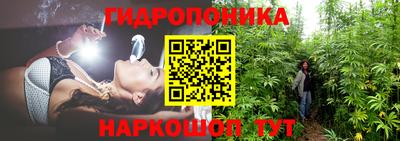 ешки Кингисепп