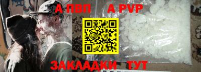 ешки Кингисепп