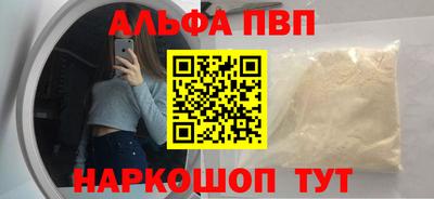 ешки Кингисепп