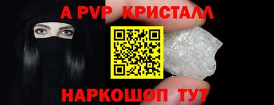 ешки Кингисепп