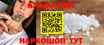 ешки Кингисепп