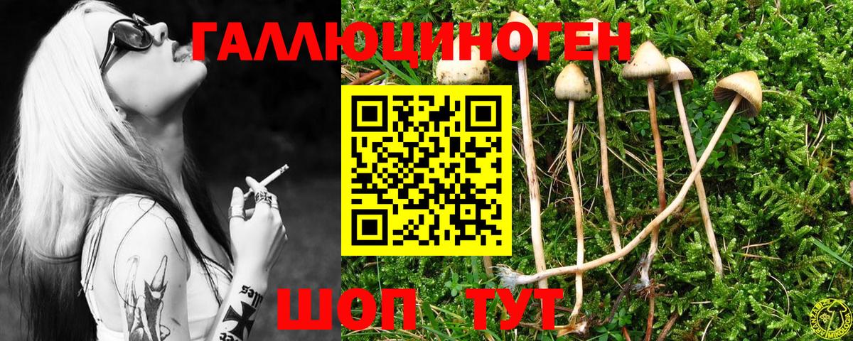 Мелеуз  Галлюциногенные грибы прущие грибы  Вход с VPN 