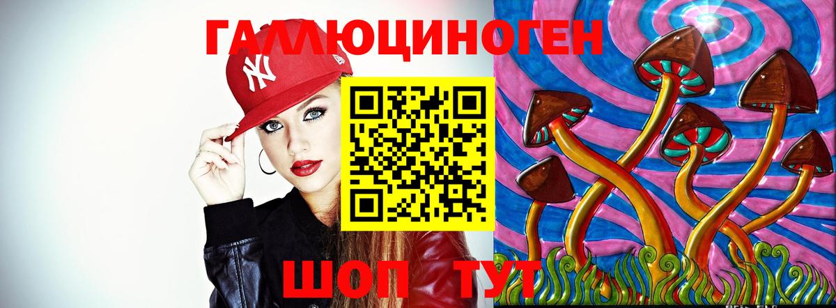 Псилоцибиновые грибы Psilocybine cubensis  Мелеуз 