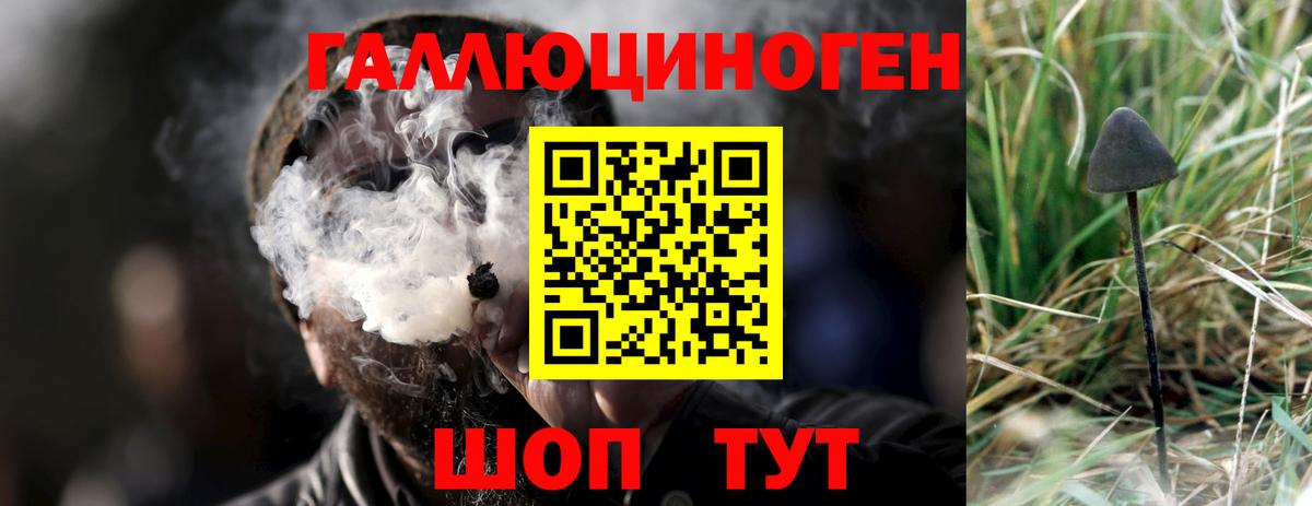 Псилоцибиновые грибы Magic Shrooms Мелеуз