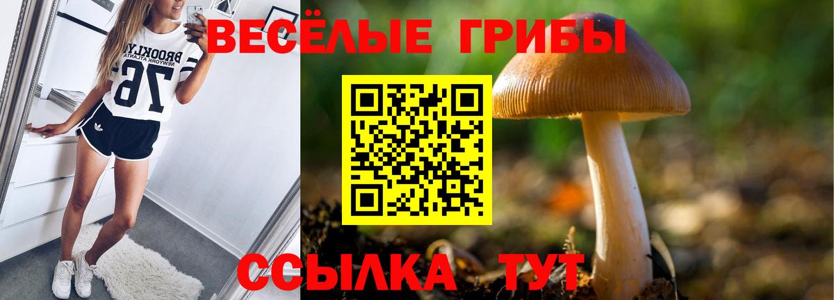 Бошки Шишки  Бошки Шишки  Гашиш  Меф   КОКАИН  MDMA  A PVP СК кристаллы  Экстази  Мелеуз  ГАШ  Вход с VPN 