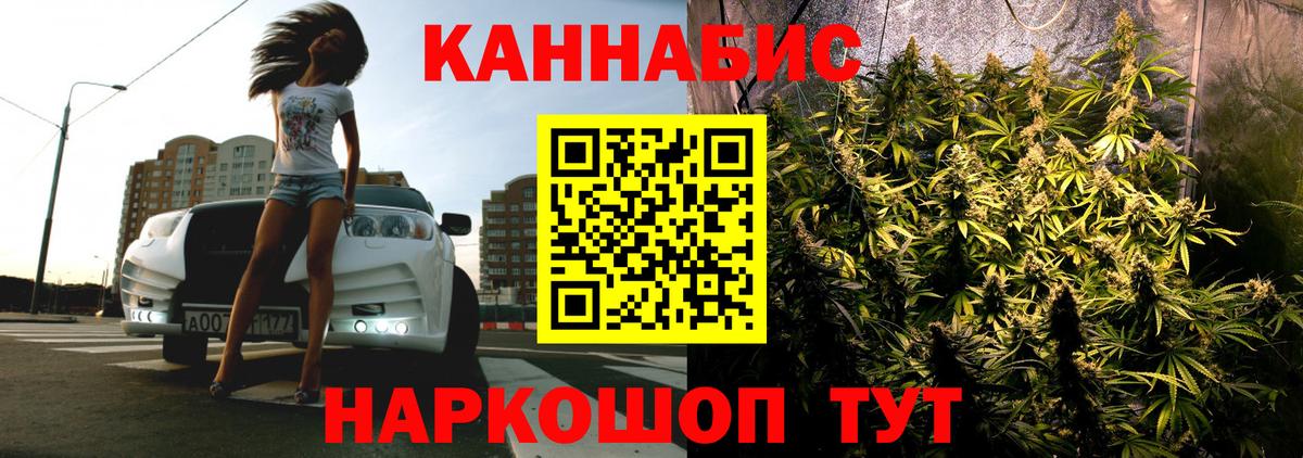 Каннабис планчик Мелеуз